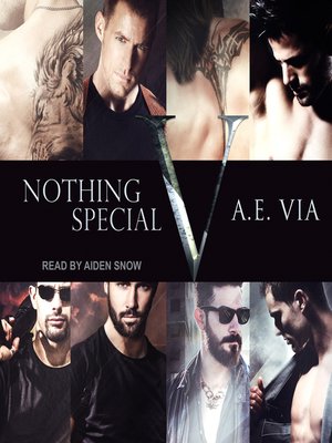 cover image of Nothing Special V